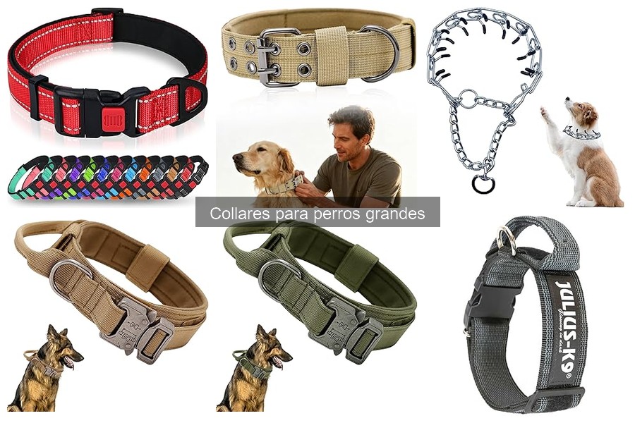 Errores comunes al usar collares para perros grandes