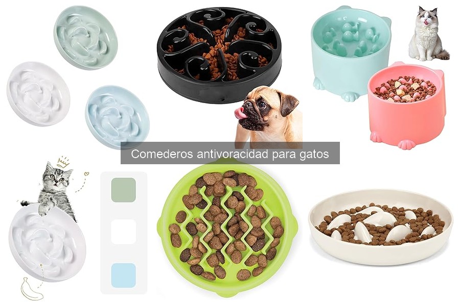 Errores comunes al usar comederos antivoracidad para gatos
