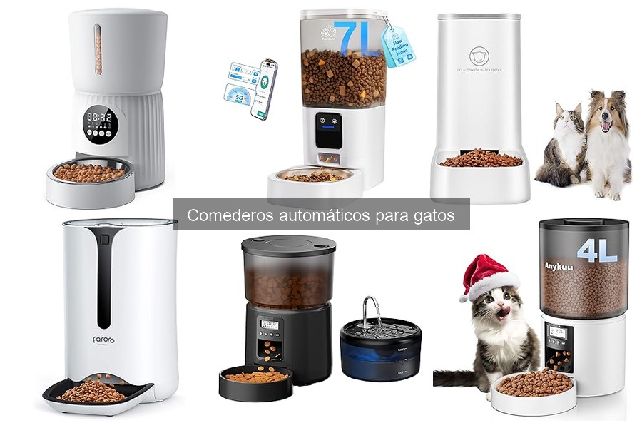 Errores comunes al usar comederos automáticos para gatos