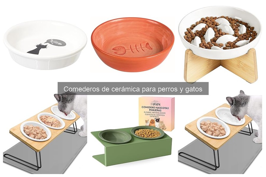 Errores comunes al usar comederos de cerámica para mascotas