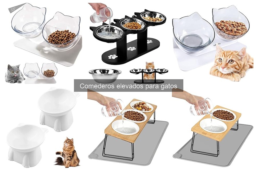 Errores comunes al usar comederos elevados para gatos