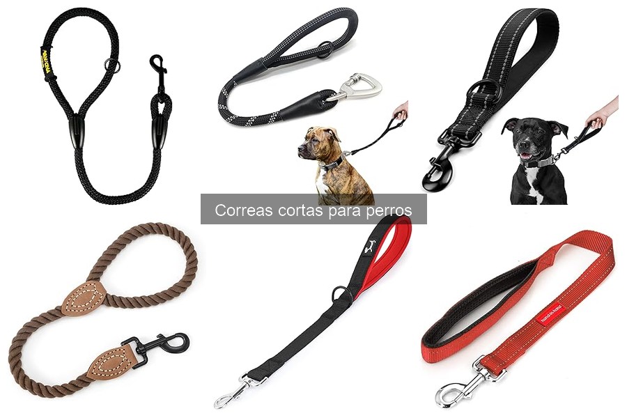 Errores comunes al usar correas cortas para perros