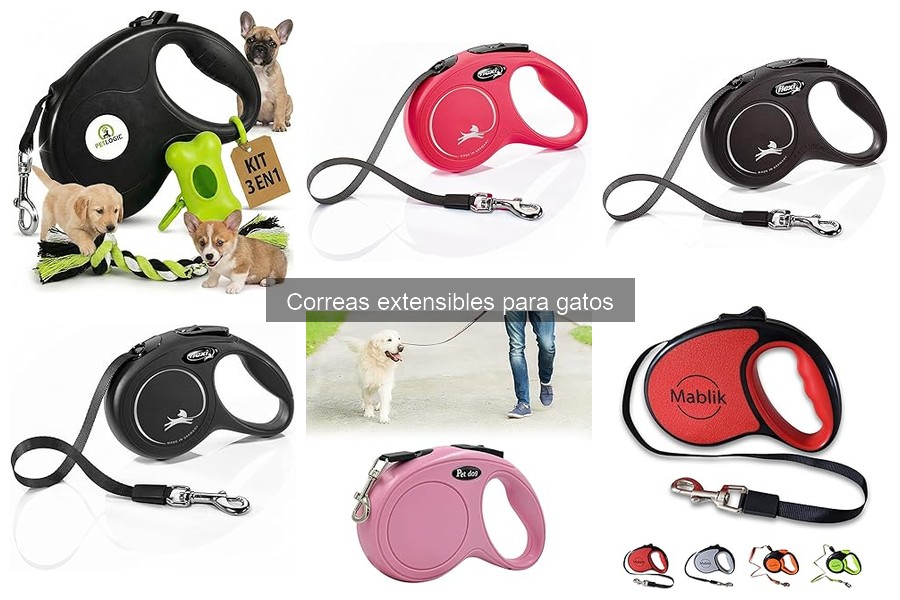 Errores comunes al usar correas extensibles para gatos