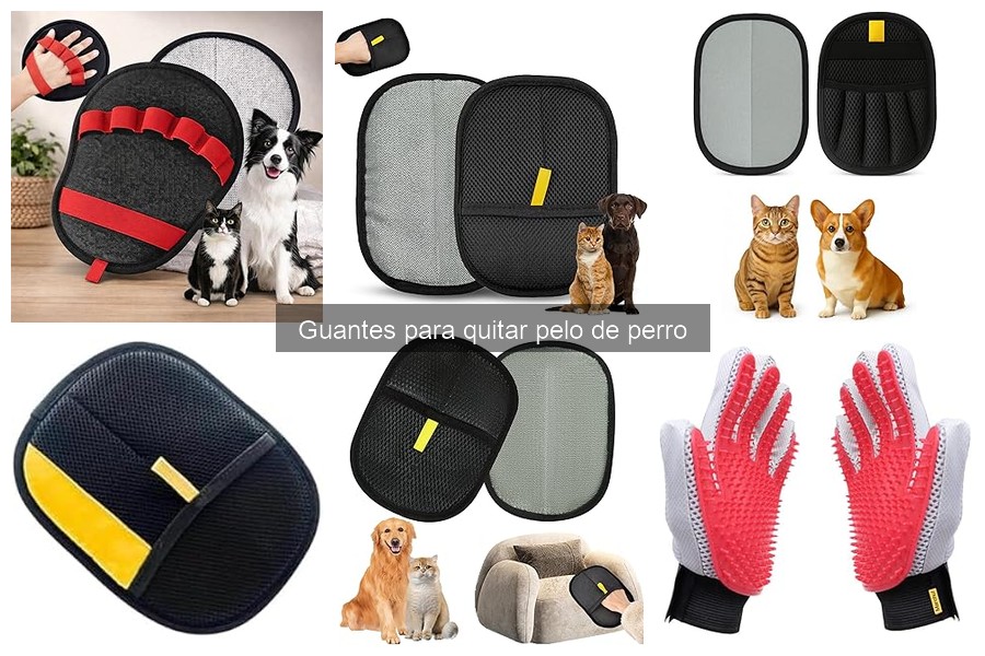 Errores comunes al usar guantes quitapelos para perros