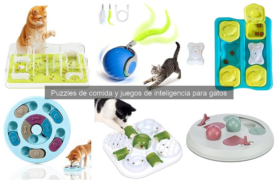 Errores comunes al usar juegos de inteligencia para gatos