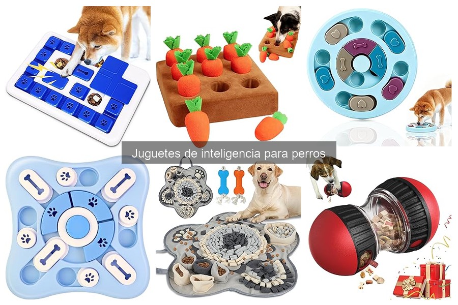 Errores comunes al usar juguetes de inteligencia para perros