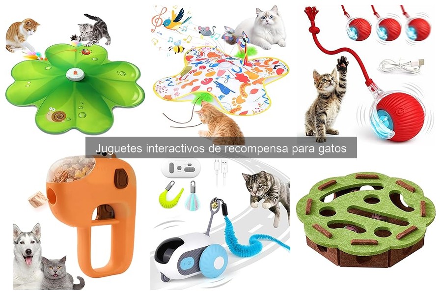Errores comunes al usar juguetes interactivos para gatos