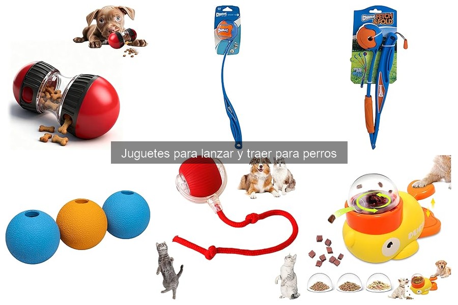 Errores comunes al usar juguetes para lanzar y traer perros