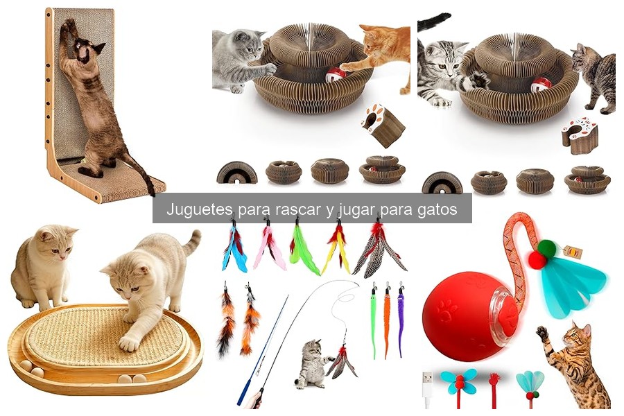 Errores comunes al usar juguetes rascar para gatos