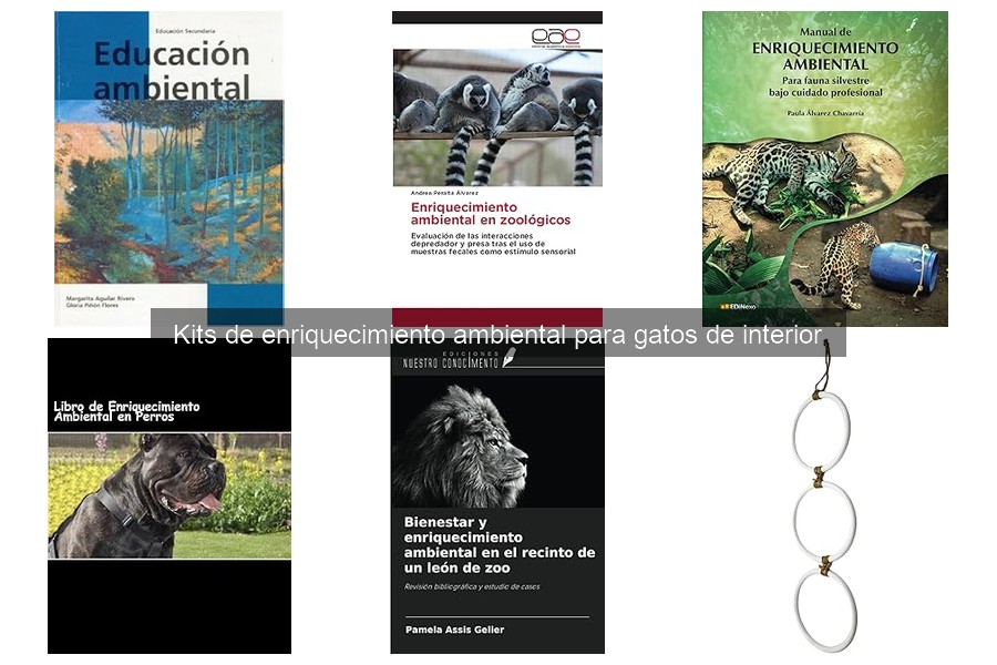 Errores comunes al usar kits de enriquecimiento ambiental para gatos