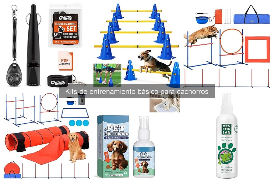 Errores comunes al usar kits de entrenamiento para cachorros