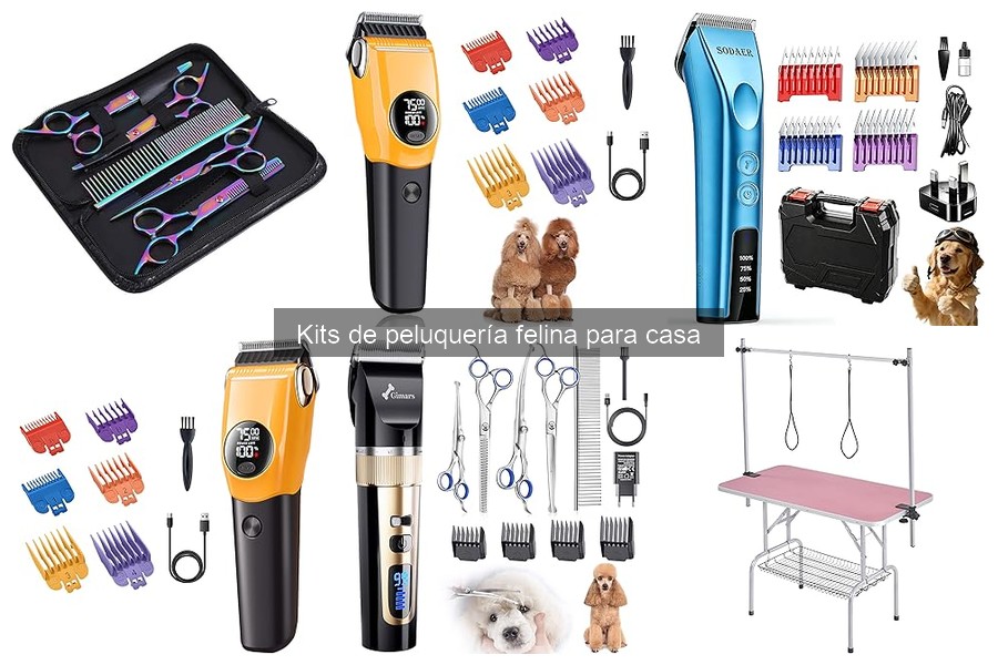 Errores comunes al usar kits de peluquería para gatos