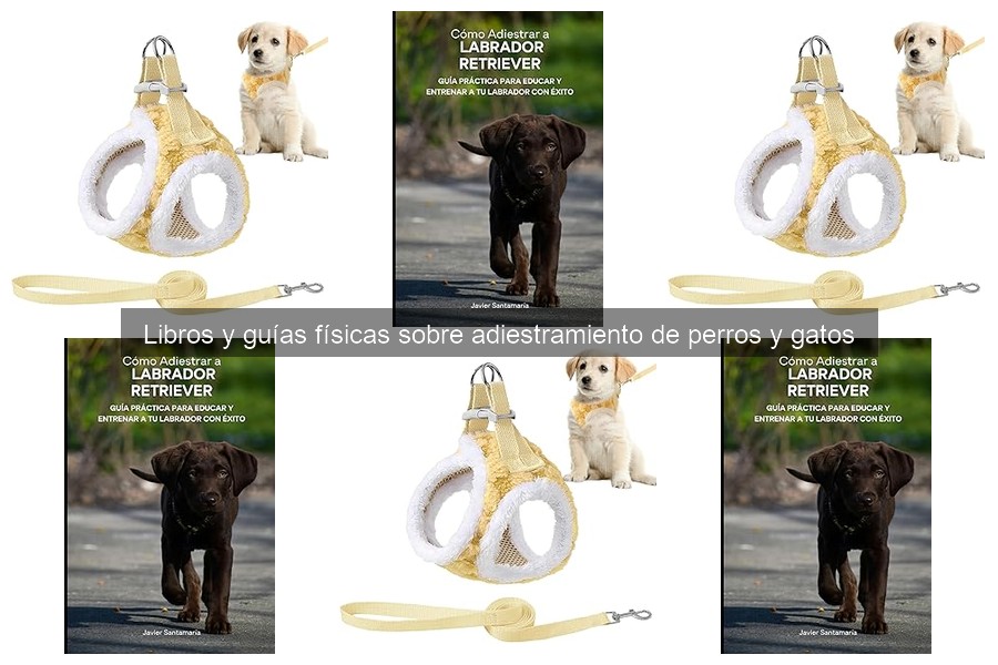 Errores comunes al usar libros de adiestramiento de perros
