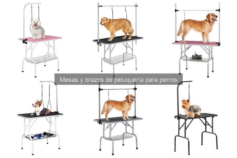 Errores comunes al usar mesas de peluquería para perros