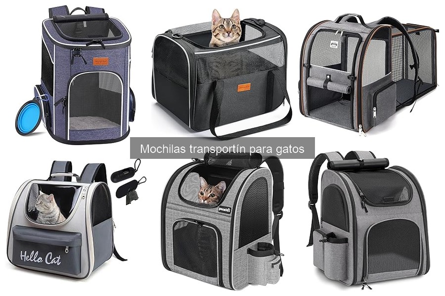 Errores comunes al usar mochilas transportín para gatos