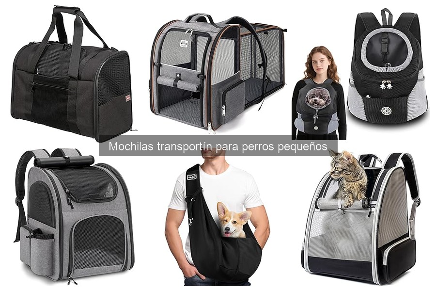 Errores comunes al usar mochilas transportín para perros pequeños