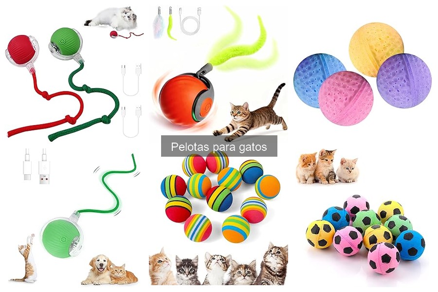 Errores comunes al usar pelotas para gatos y cómo evitarlos