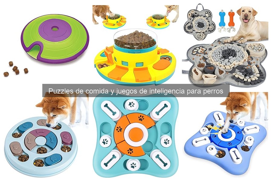 Errores comunes al usar puzzles de comida para perros