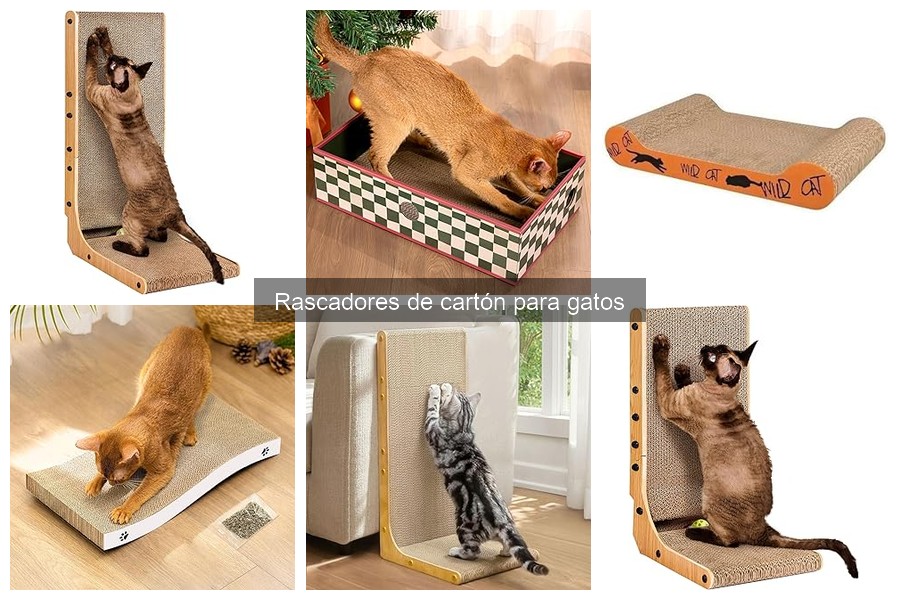 Errores comunes al usar rascadores de cartón para gatos