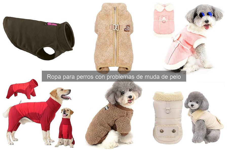 Errores comunes al usar ropa en perros que mudan pelo