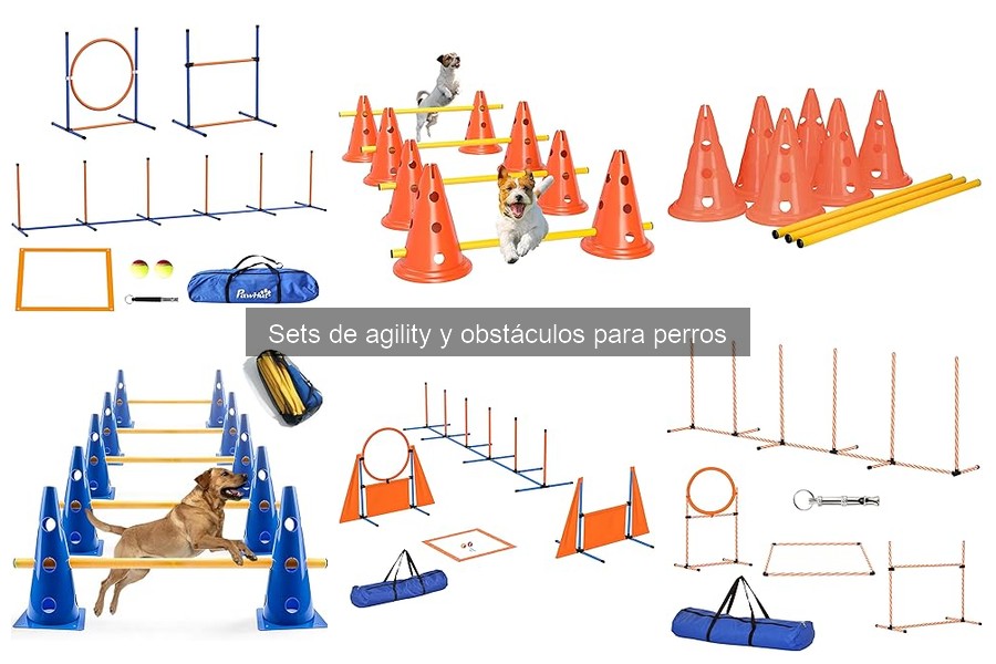 Errores comunes al usar sets de agility para perros