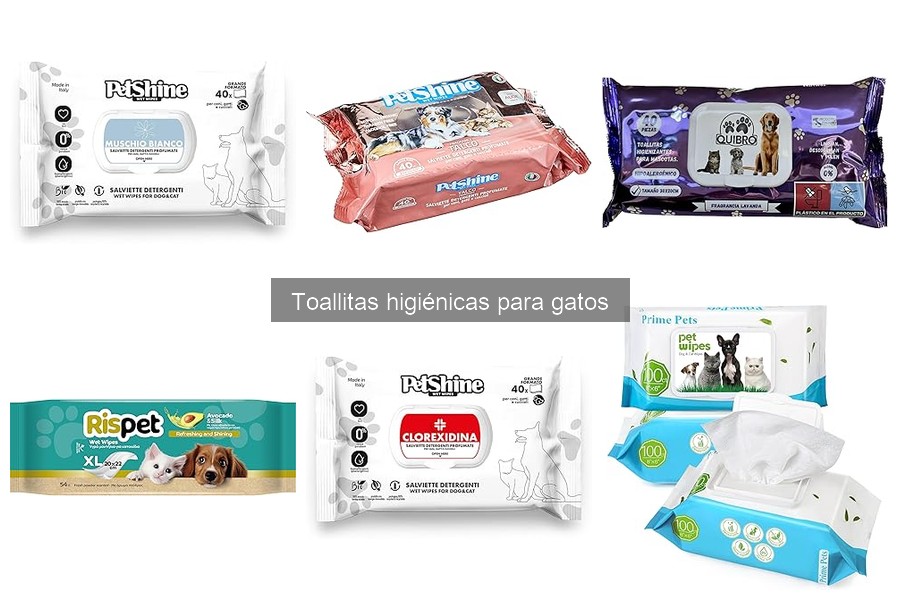 Errores Comunes al Usar Toallitas Higiénicas para Gatos