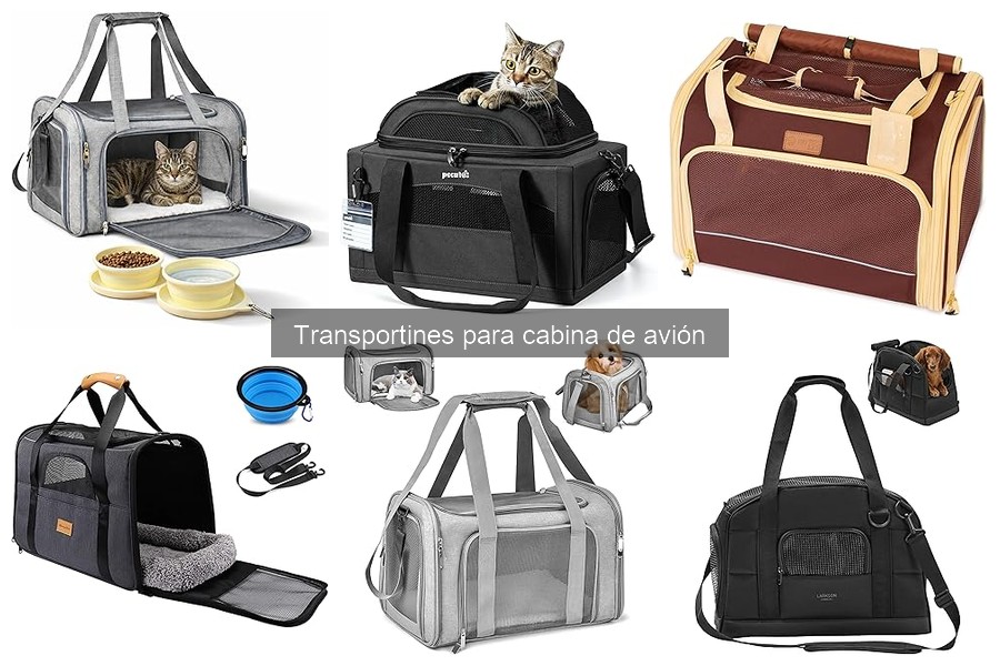 Errores comunes al usar transportines para aviones