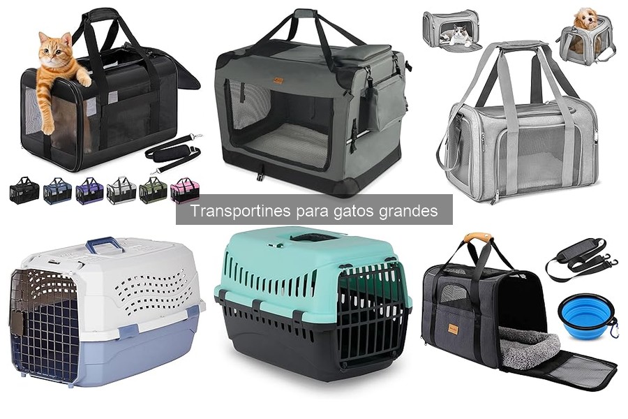 Errores comunes al usar transportines para gatos grandes