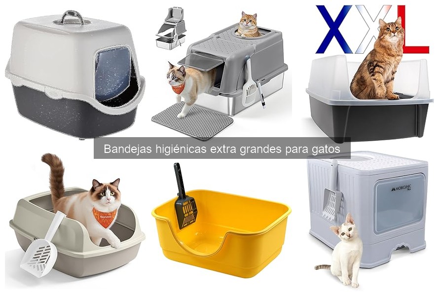Errores comunes con bandejas higiénicas extra grandes para gatos
