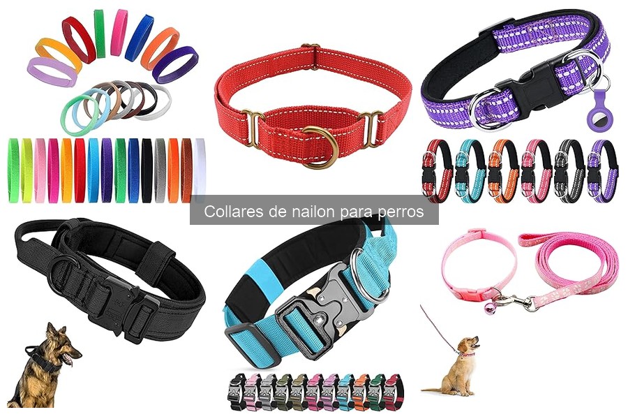Errores comunes con collares de nailon para perros y cómo evitarlos