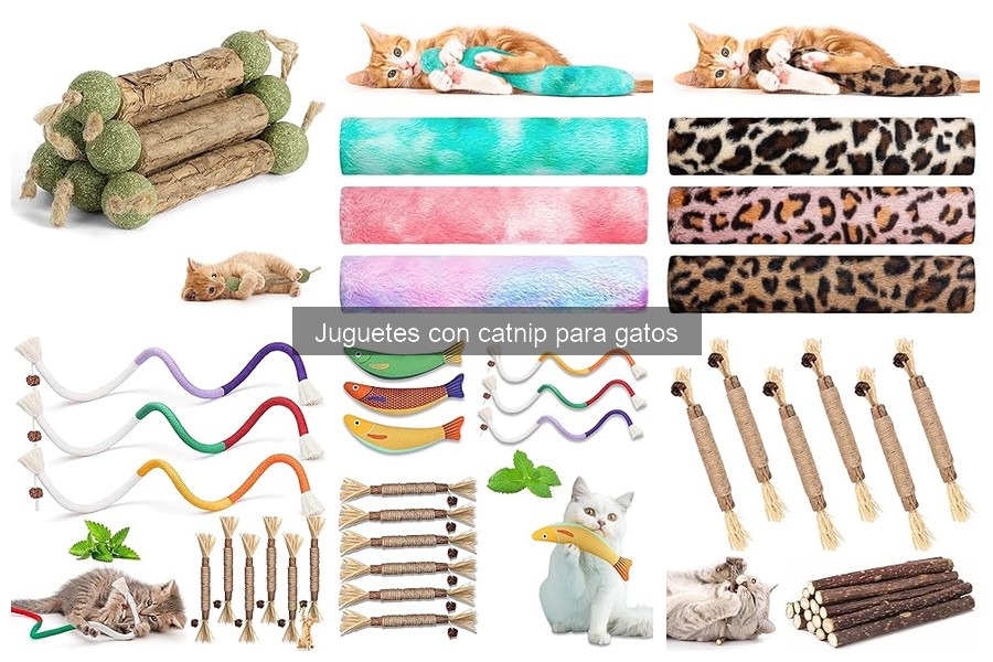 Errores comunes con juguetes de catnip para gatos y soluciones