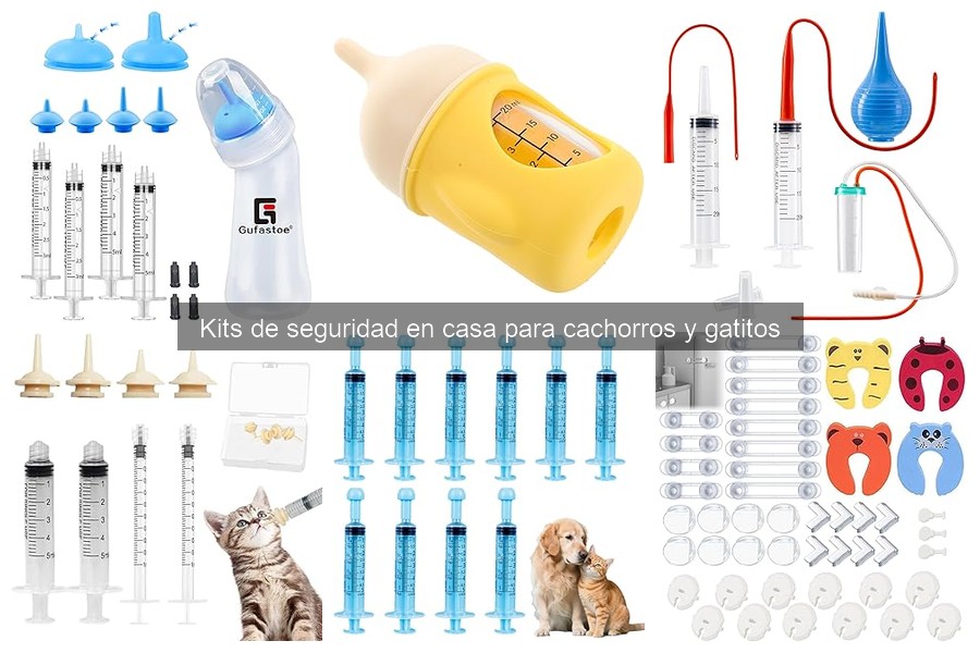 Errores Comunes Usando Kits de Seguridad para Cachorros y Gatitos