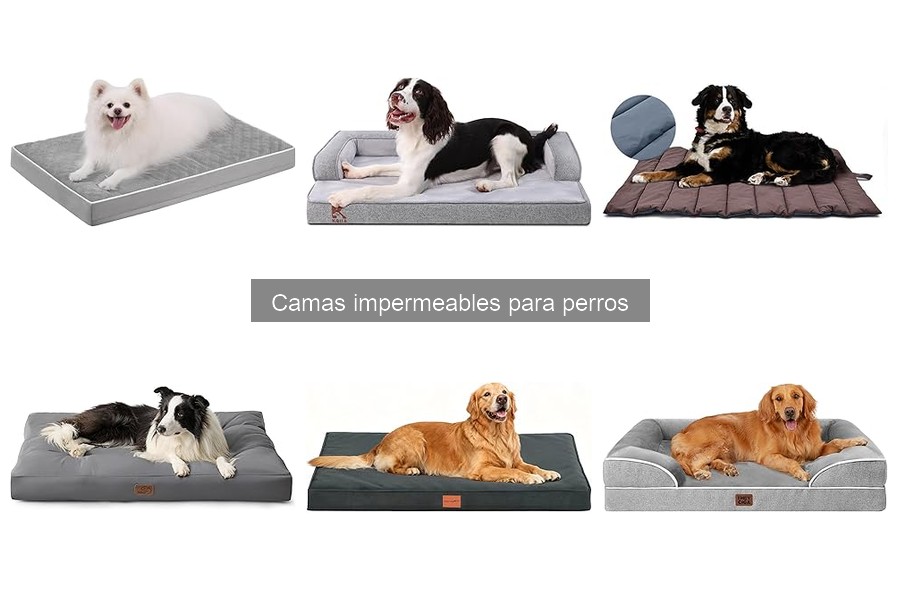 Errores frecuentes al elegir camas impermeables para perros