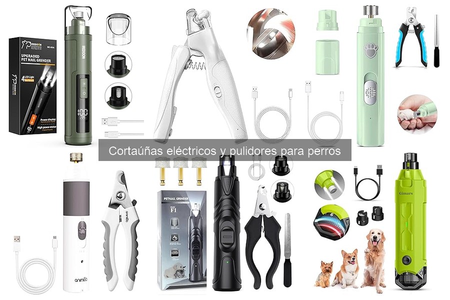 ¿Es seguro el cortaúñas eléctrico para perros? Guía completa