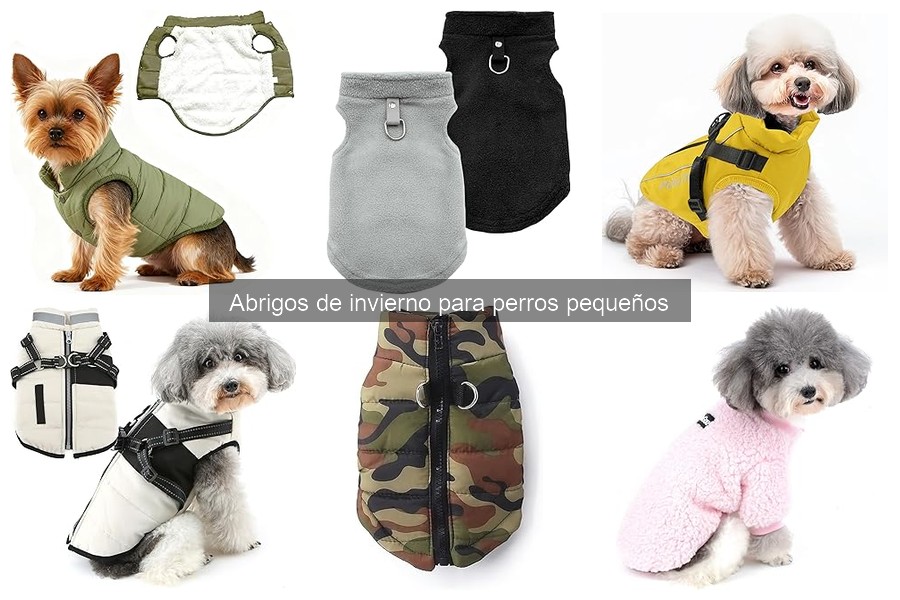 Estilos de abrigos de invierno para perros pequeños por raza