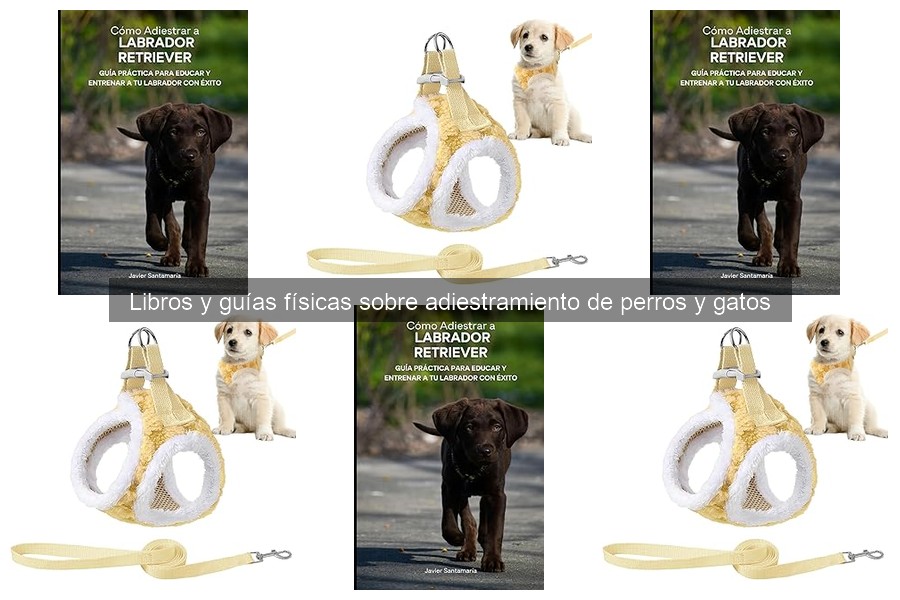 Estilos de adiestramiento en libros para perros: guía completa