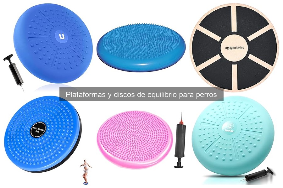 Evita estos errores comunes al usar discos de equilibrio para perros