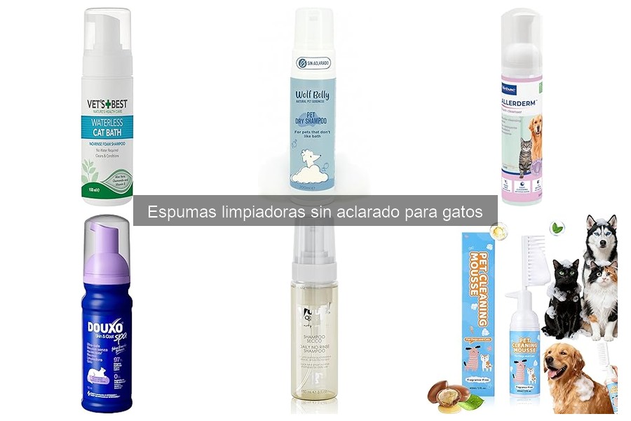 Evita estos errores comunes con espumas limpiadoras para gatos