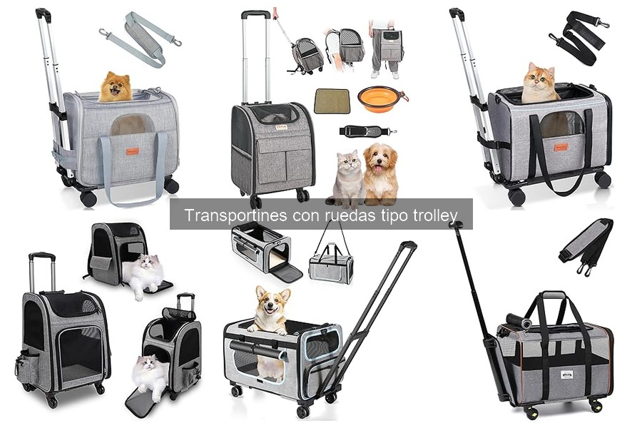 Experiencias reales con transportines trolley para mascotas