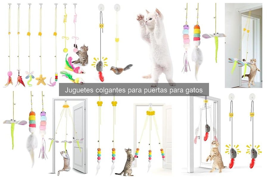 Fomenta el uso de juguetes colgantes en gatos tímidos