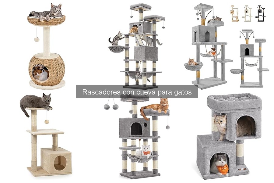 Fomenta el uso del rascador con cueva en gatos tímidos