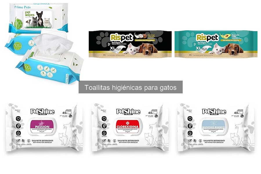 Frecuencia ideal de toallitas higiénicas para gatos