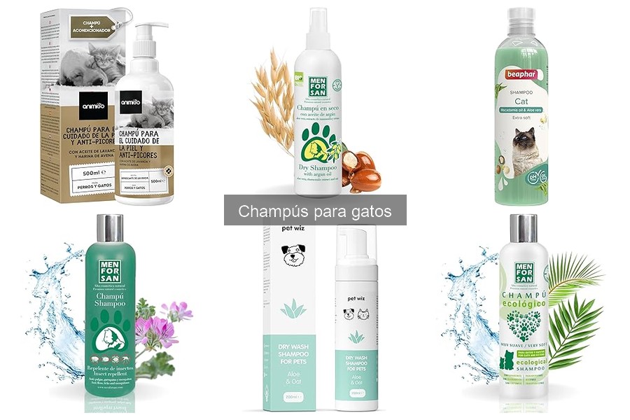 Frecuencia ideal para bañar a tu gato: consejos prácticos