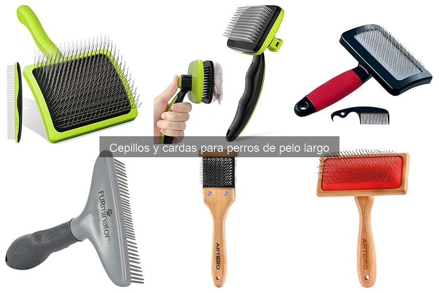 Frecuencia ideal para cepillar a tu perro de pelo largo