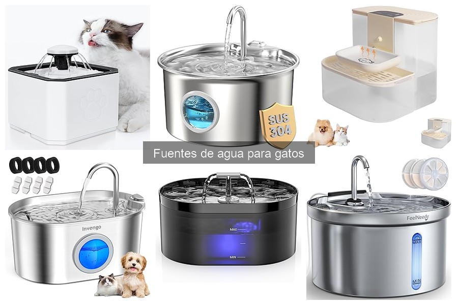 Fuentes de agua para gatos: ¿mejoran la salud urinaria?