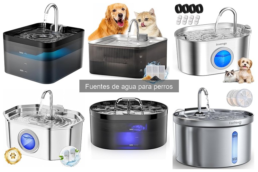 Fuentes de agua para perros: ¿Qué son y cómo funcionan?