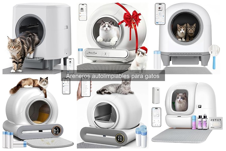 Funcionalidades Innovadoras en Areneros Autolimpiables para Gatos