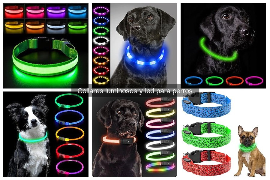 Funcionamiento de los collares LED para perros: Guía práctica