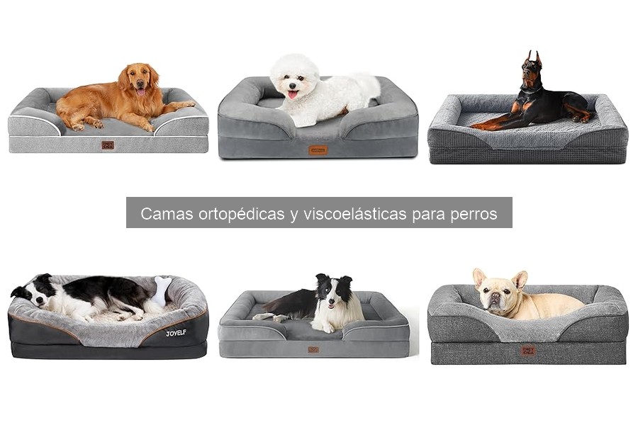 Garantías de camas ortopédicas para perros: Todo lo que debes saber