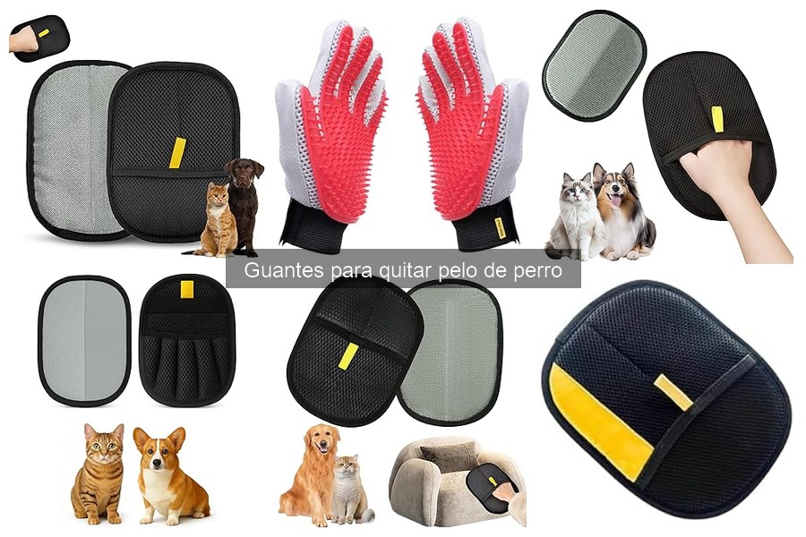 Guantes para quitar pelo de perro: ¿Qué son y cómo funcionan?